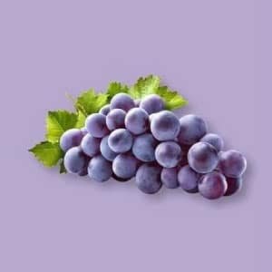 ส่วนผสมคอลลาริช คอลลาเจน collarich collagen-5