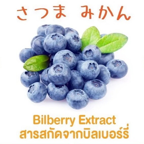 bilberry extract