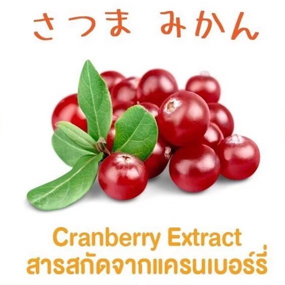 cranberry extract สารสกัดจากแครนเบอรี่