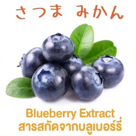 สารสกัดจากบลูเบอรี่ bluberry extract